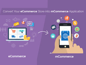 convert e-commerce store into mobile app