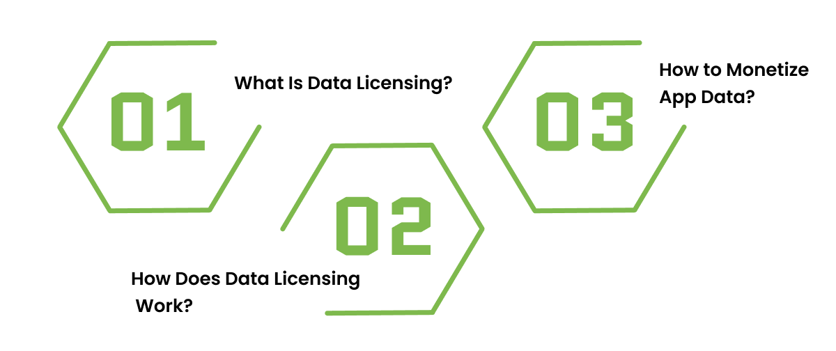 Data Licensing