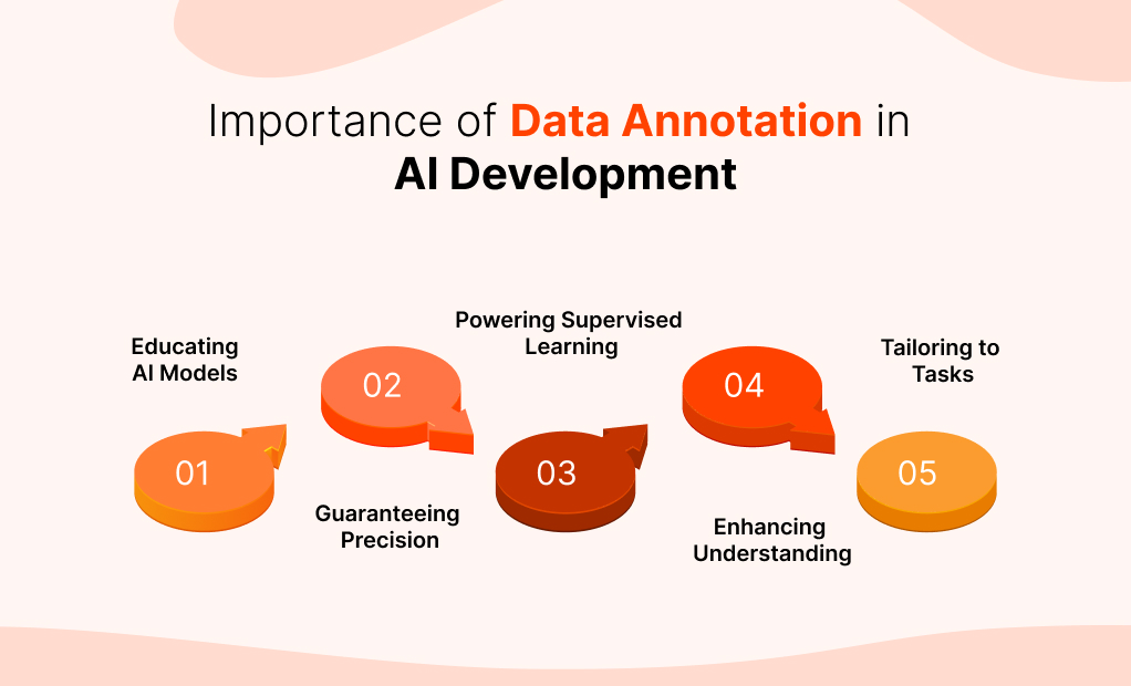 Importance of Data Annotation in AI Development